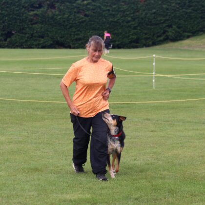 Competition Obedience Class (Fortnightly)