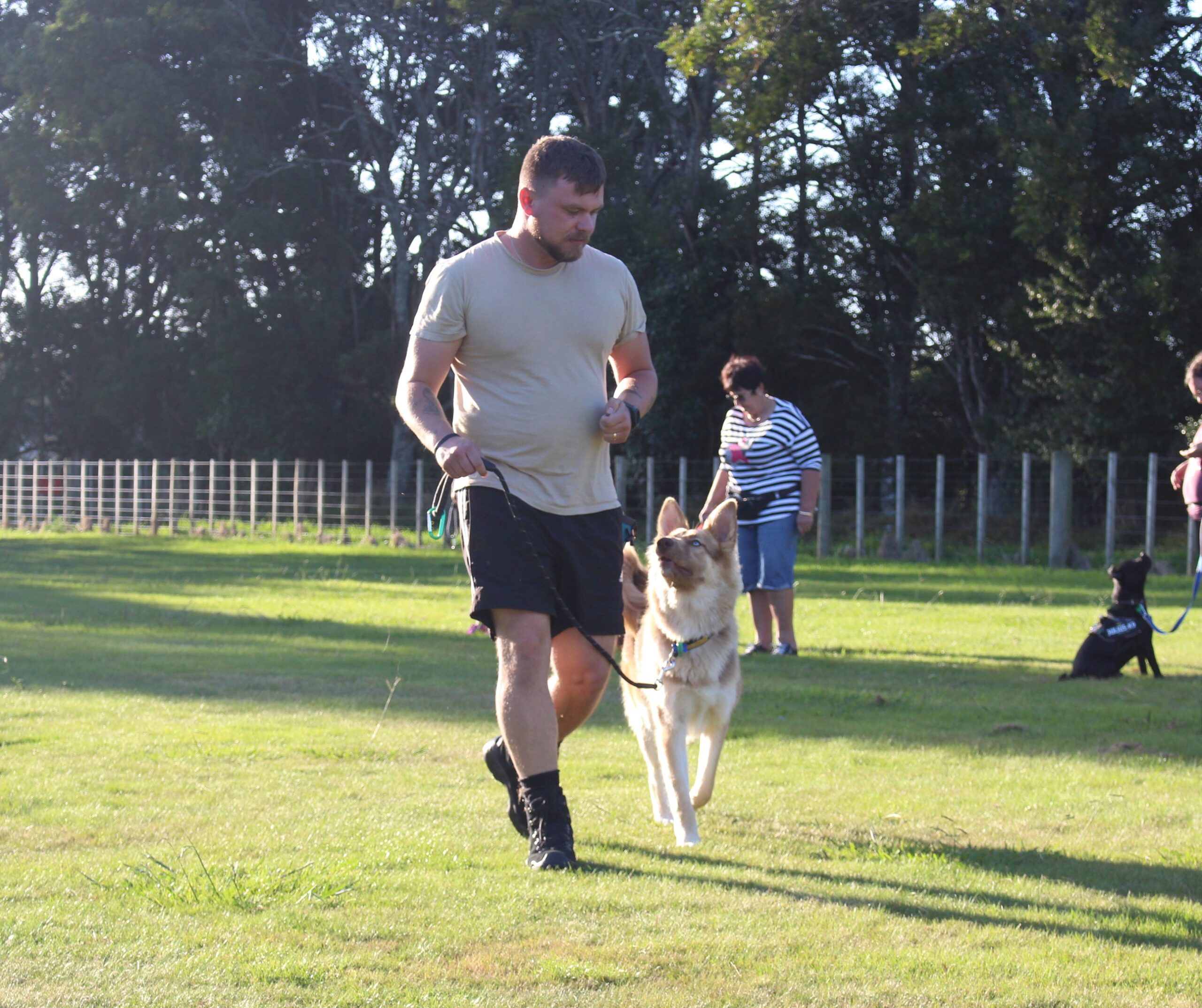 Intermediate Obedience Class