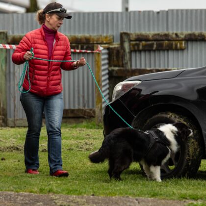 Scent Work Class(Fortnightly)