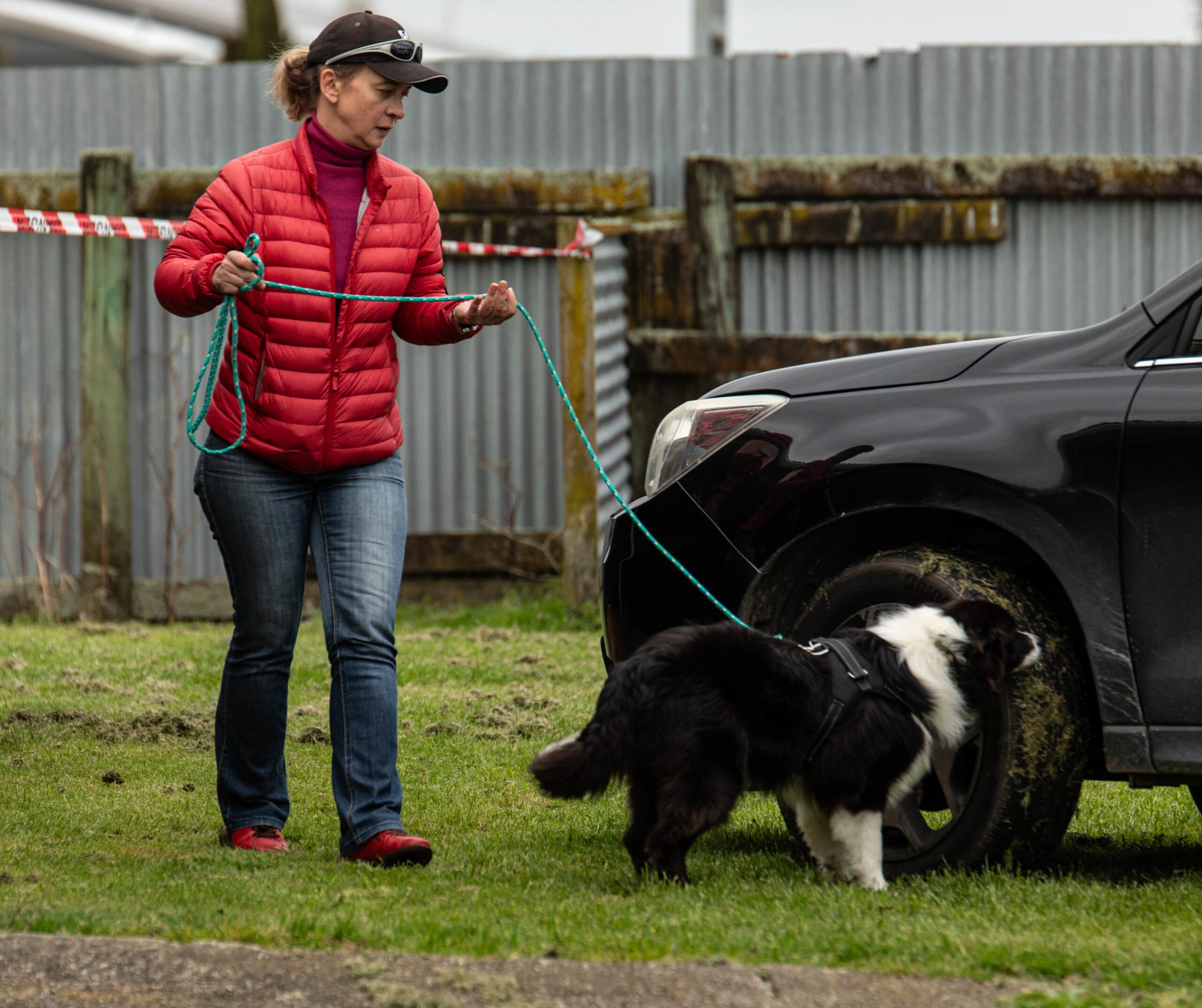 Scent Work Class(Fortnightly)